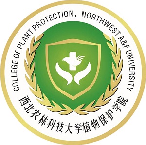 院徽无色情片
二字.jpg