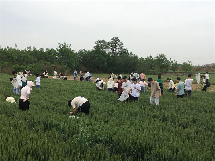 750-4. 在麦田进行害虫调查的色情片
师生们.jpg