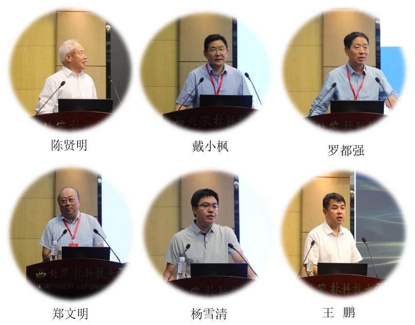校友代表作色情片报告3.jpg