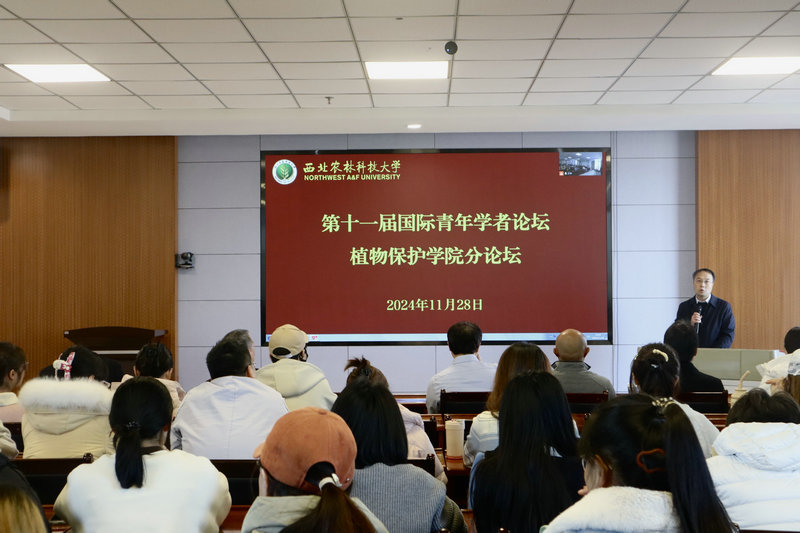 色情片
分论坛.jpg