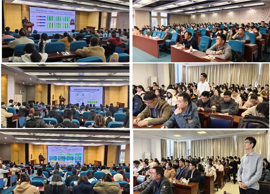 报告会场-900.jpg