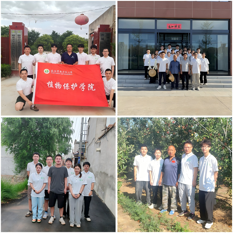 图1：四支实践队合影拼图.png