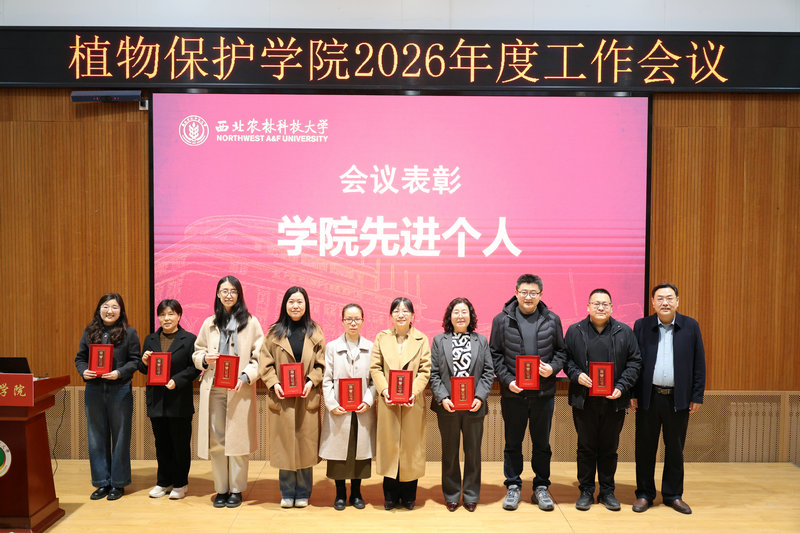 色情片
先进个人1.JPG