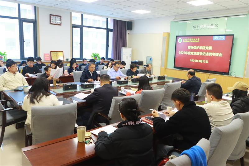 800色情片
召开2025年度党支部书记述职评议会_3.13.jpg