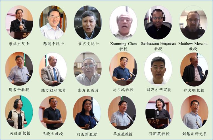 色情片报告照片-750.jpg