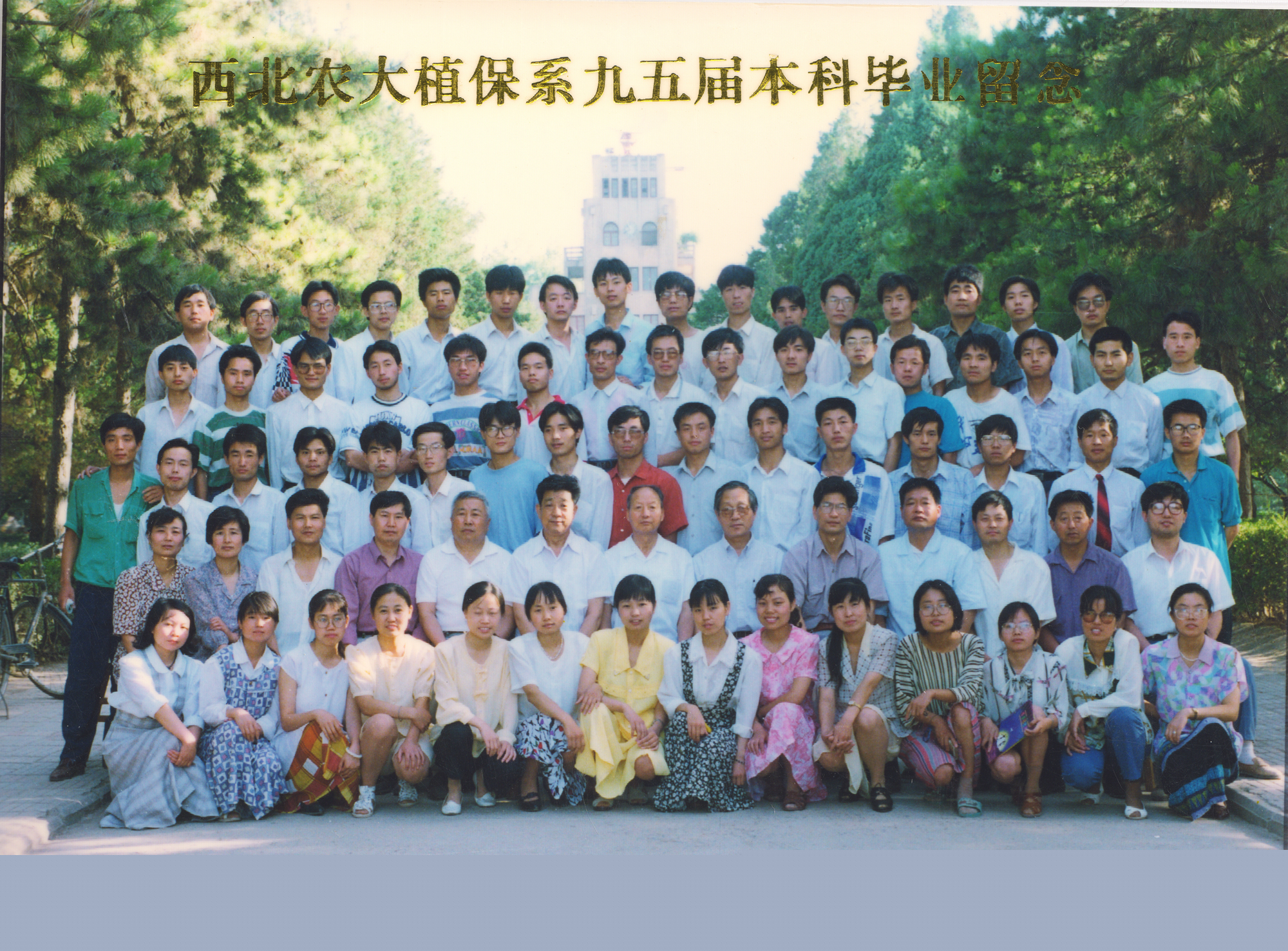 0ce553a143fa4c54bd9e7956a389875c.jpg