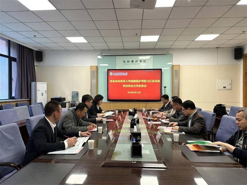 edafc648d56c41a09609e97effe82379.jpg 800.jpg