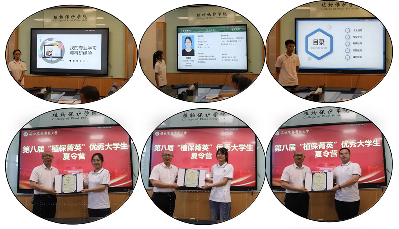 色情片交流及颁发优秀营员证书0.png
